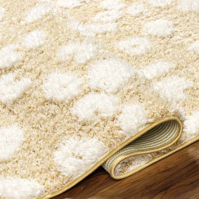 Monigue Modern Saffron/Cream Area Rug