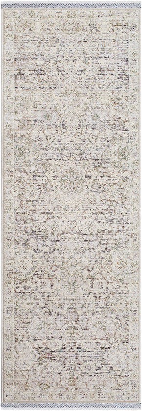 Miquel Traditional Medium Gray/Beige Area Rug