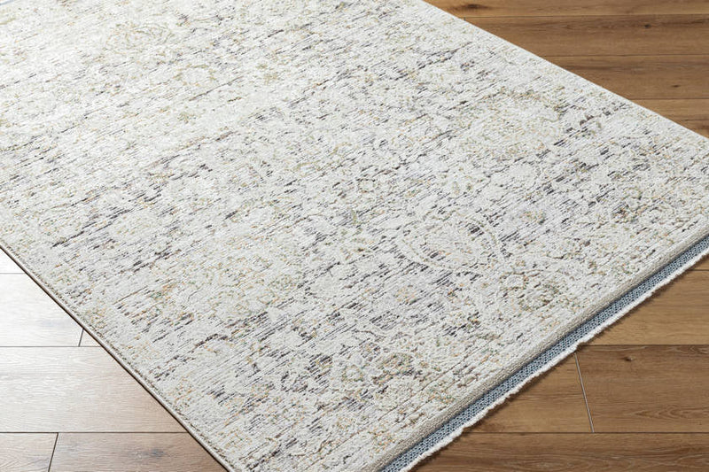 Miquel Traditional Medium Gray/Beige Area Rug