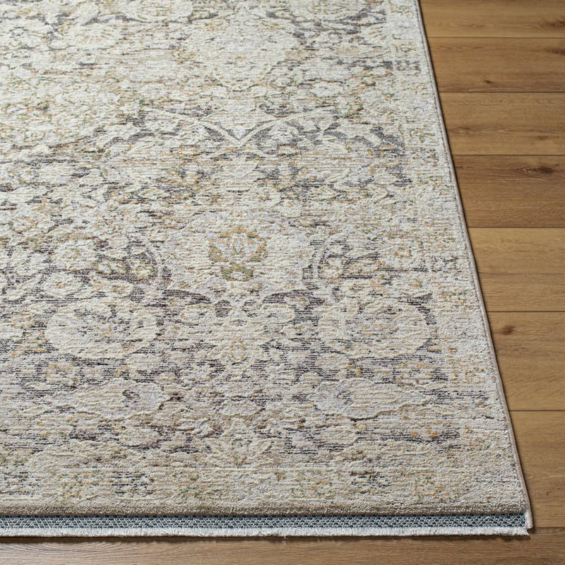 Miquel Traditional Medium Gray/Beige Area Rug