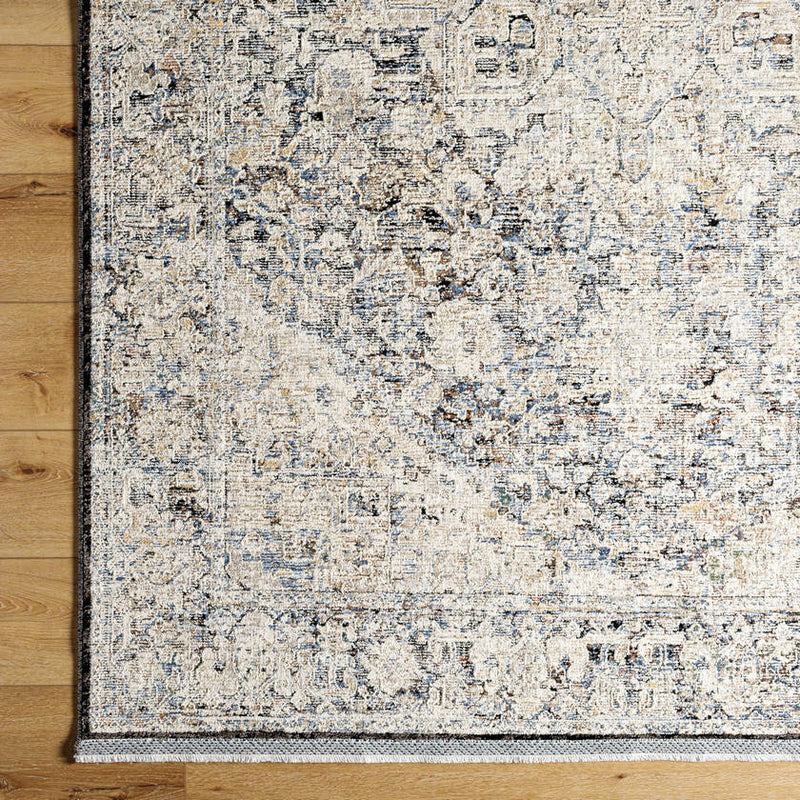 Miquel Traditional Medium Gray/Beige Area Rug