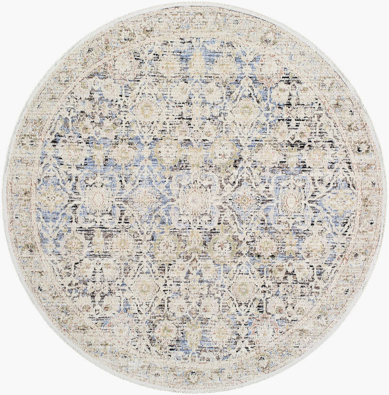 Tavian Traditional Beige/Denim Area Rug