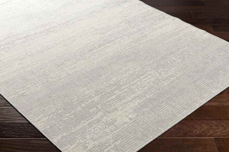 Ravon Modern Light Gray/Beige Area Rug