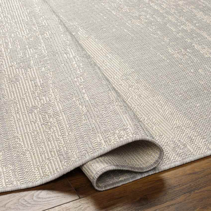 Ravon Modern Light Gray/Beige Area Rug