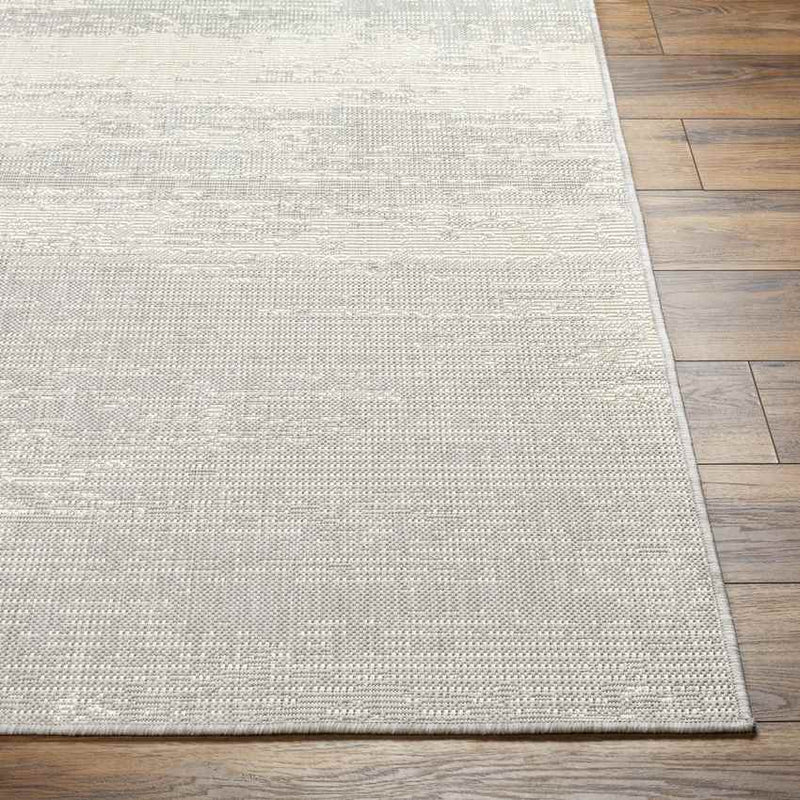 Ravon Modern Light Gray/Beige Area Rug