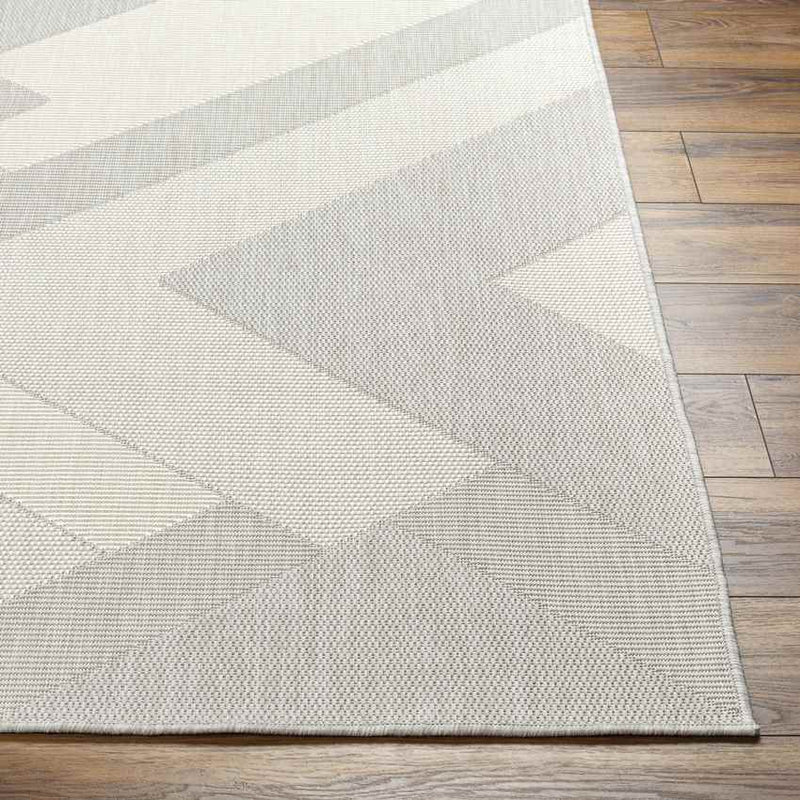 Chade Modern Light Gray/Ivory Area Rug