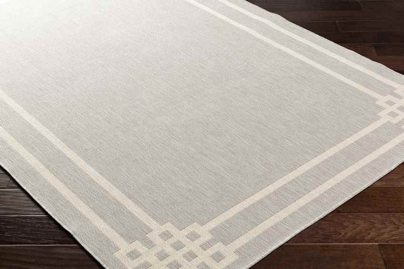 Davinia Modern Light Gray/Ivory Area Rug