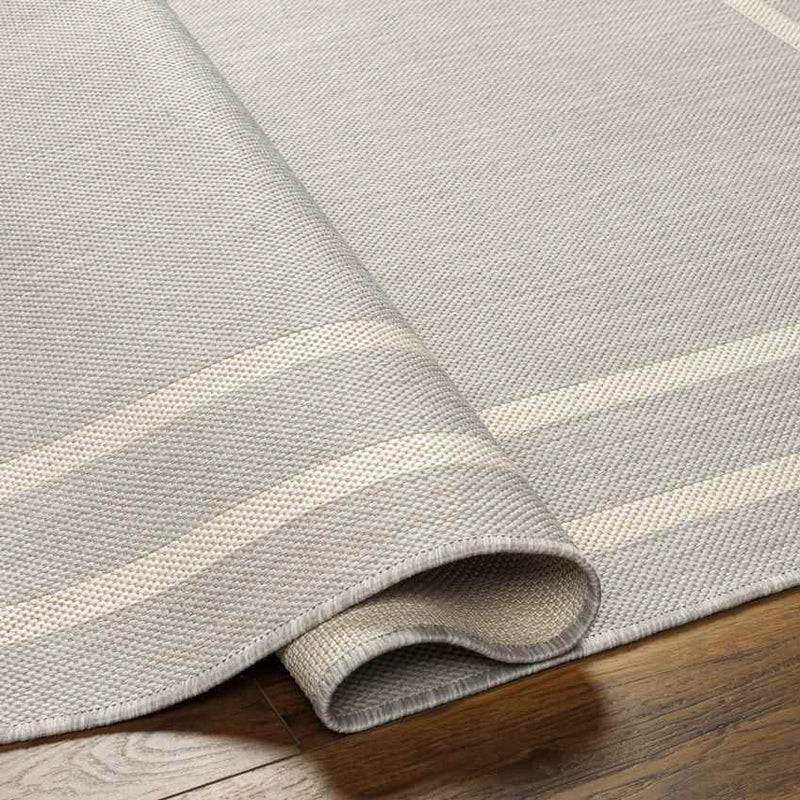 Davinia Modern Light Gray/Ivory Area Rug