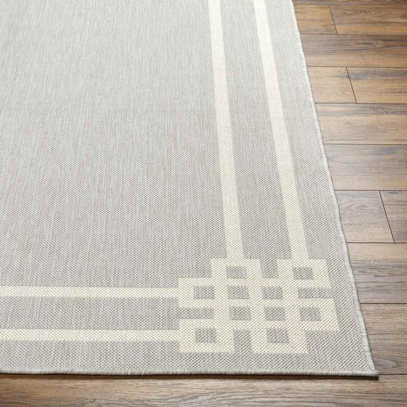 Davinia Modern Light Gray/Ivory Area Rug