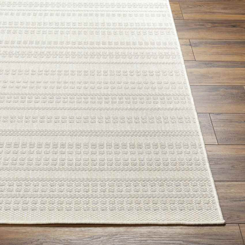 Biagio Modern Light Gray/Cream Area Rug