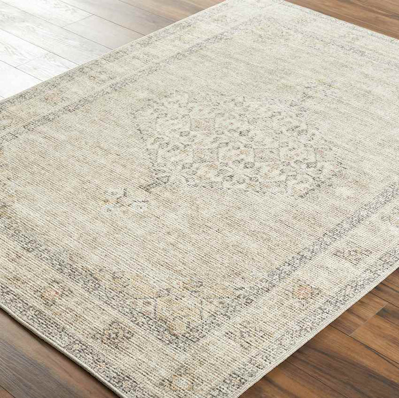 Lila Traditional Light Brown/Cream Area Rug - Becki Owens x Livabliss