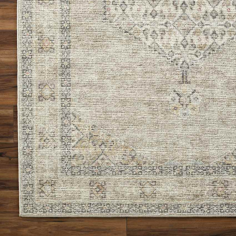 Lila Traditional Light Brown/Cream Area Rug - Becki Owens x Livabliss