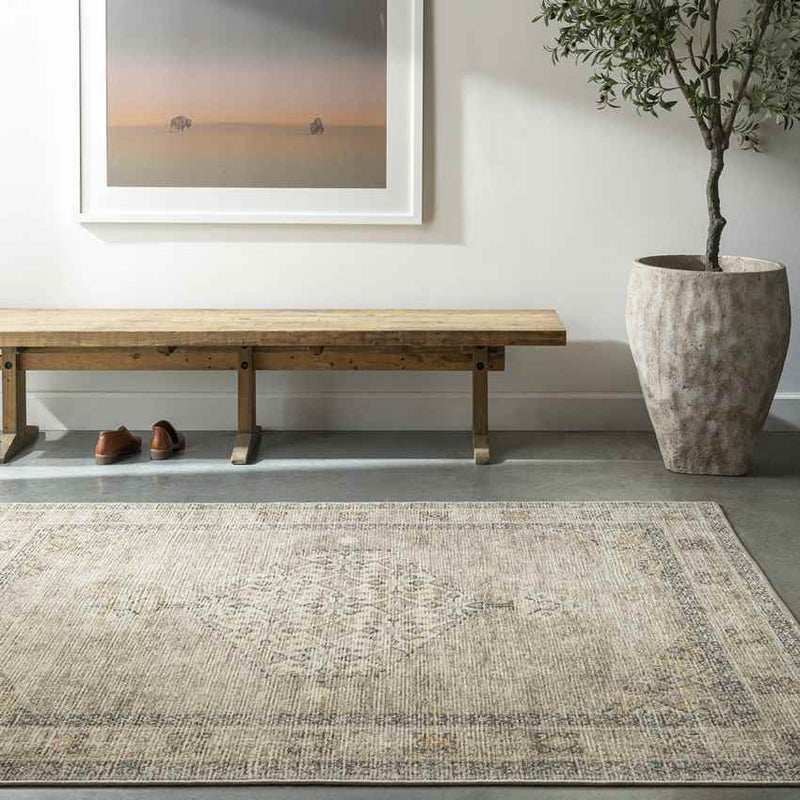 Lila Traditional Light Brown/Cream Area Rug - Becki Owens x Livabliss