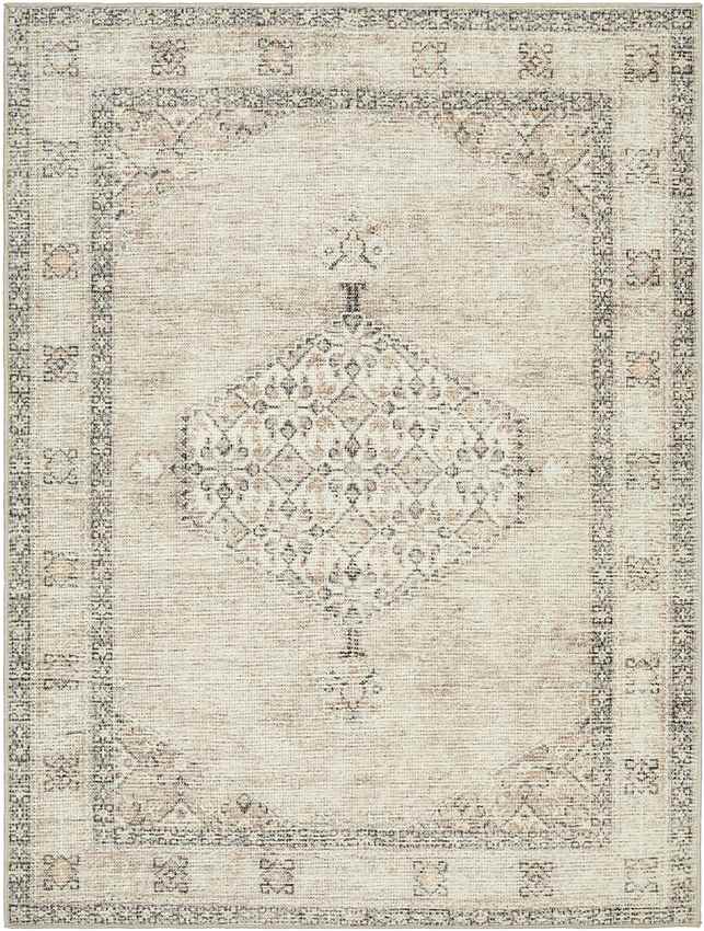 Lila Traditional Blush/Beige Area Rug - Becki Owens x Livabliss