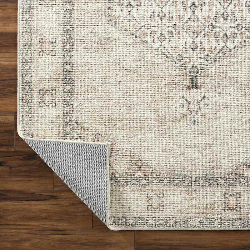 Lila Traditional Blush/Beige Area Rug - Becki Owens x Livabliss