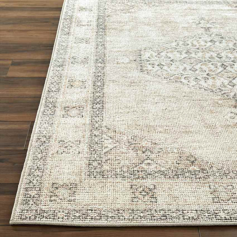 Lila Traditional Blush/Beige Area Rug - Becki Owens x Livabliss