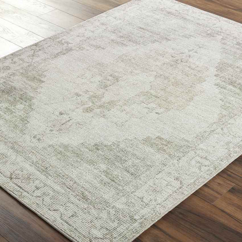 Luca Traditional Sage/Cream Area Rug - Becki Owens x Livabliss