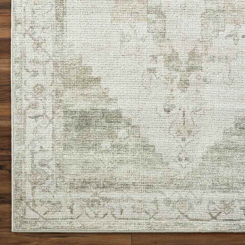 Luca Traditional Sage/Cream Area Rug - Becki Owens x Livabliss