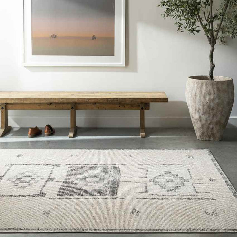 Solana Global Charcoal/Beige Area Rug - Becki Owens x Livabliss