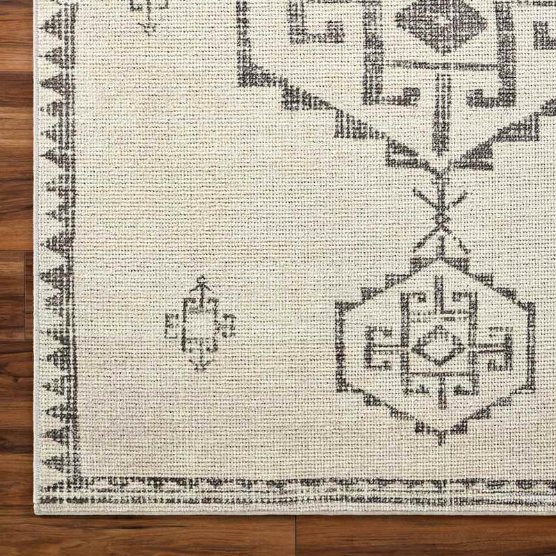 Solana Global Ivory/Black Area Rug - Becki Owens x Livabliss