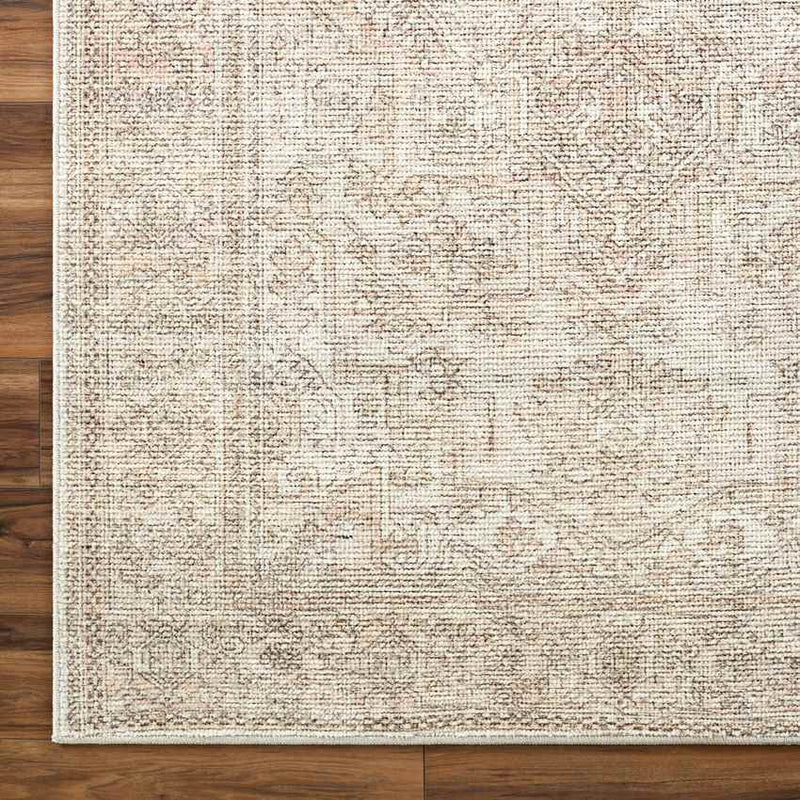 Margot Traditional Blush/Cream Area Rug - Becki Owens x Livabliss