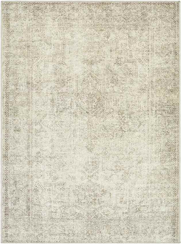 Margot Traditional Sage/Cream Area Rug - Becki Owens x Livabliss