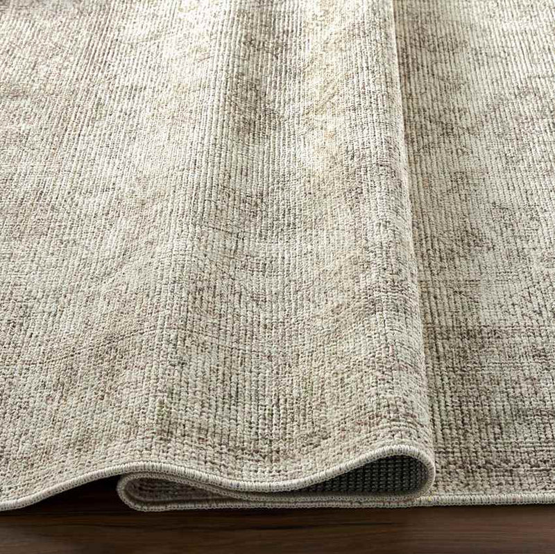 Margot Traditional Sage/Cream Area Rug - Becki Owens x Livabliss