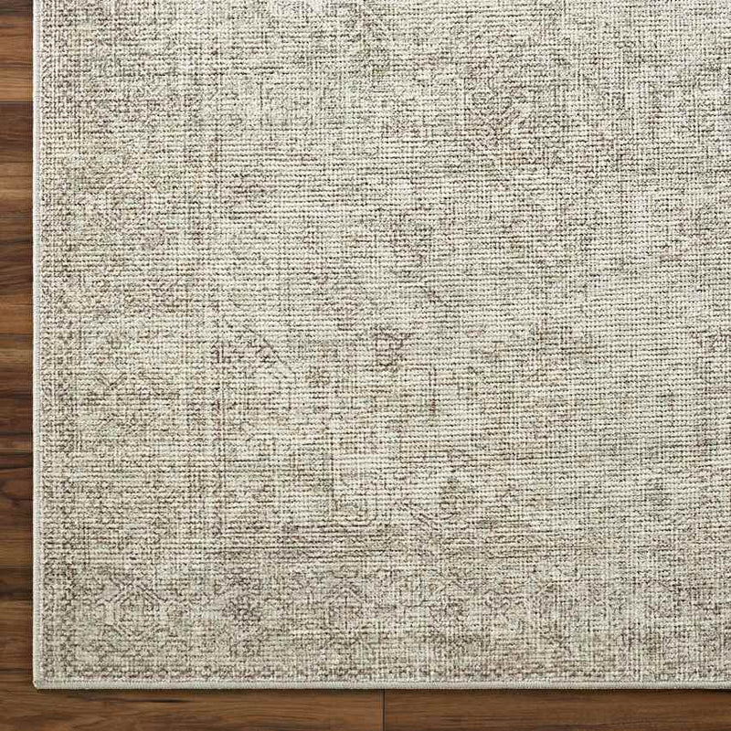 Margot Traditional Sage/Cream Area Rug - Becki Owens x Livabliss