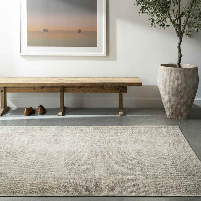 Margot Traditional Sage/Cream Area Rug - Becki Owens x Livabliss