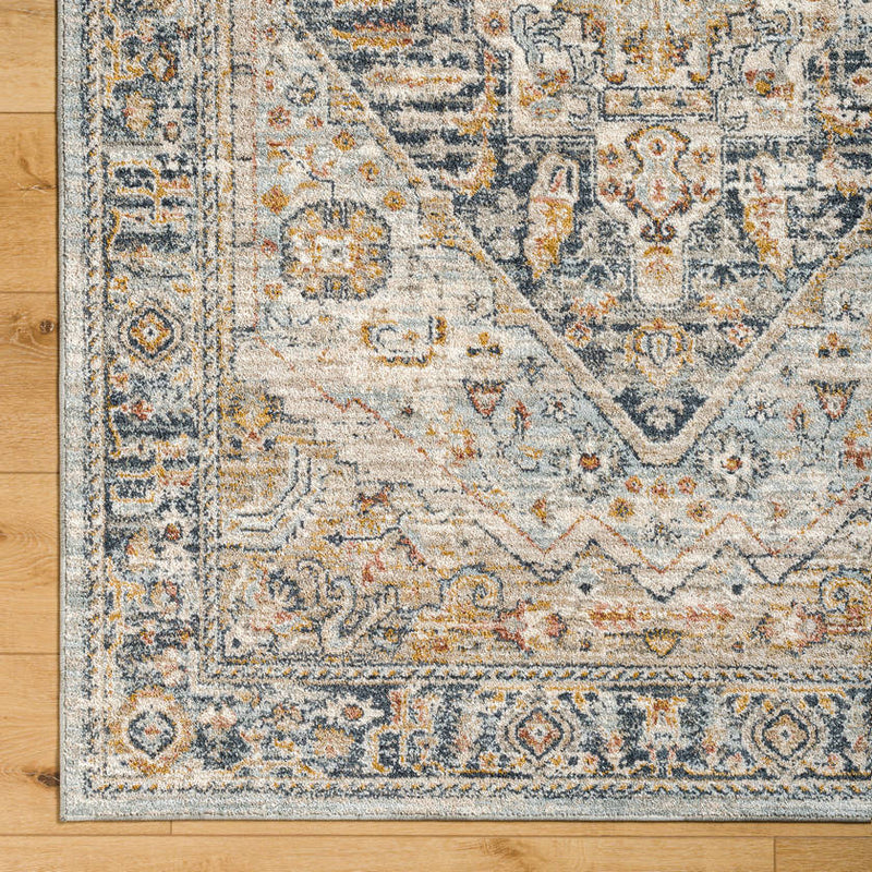 Ginni Traditional Navy/Light Gray Area Rug