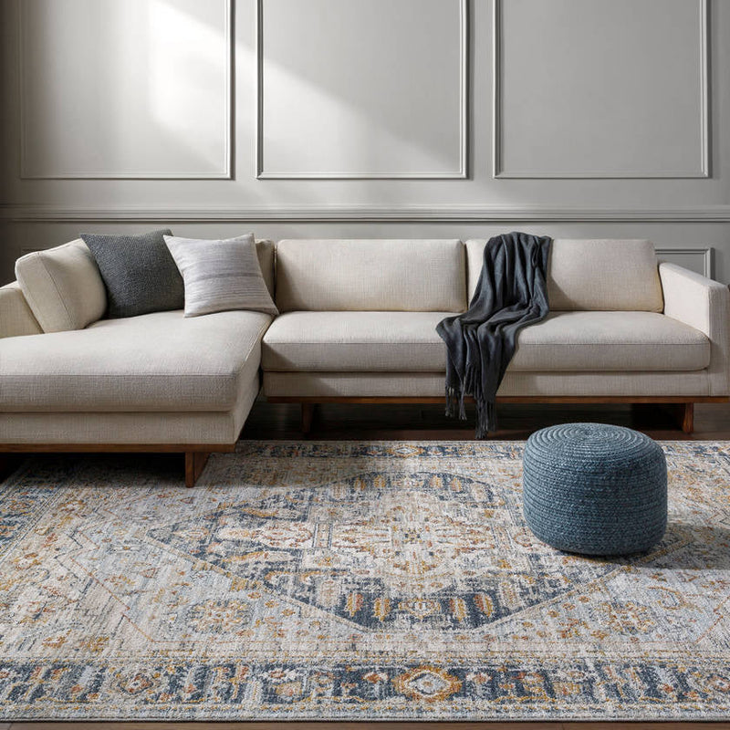 Ginni Traditional Navy/Light Gray Area Rug