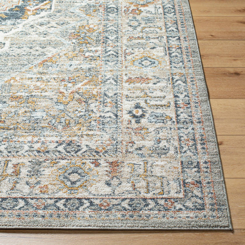 Chrystie Traditional Charcoal Area Rug