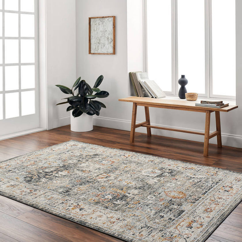 Anesia Traditional Charcoal/Dark Blue Area Rug