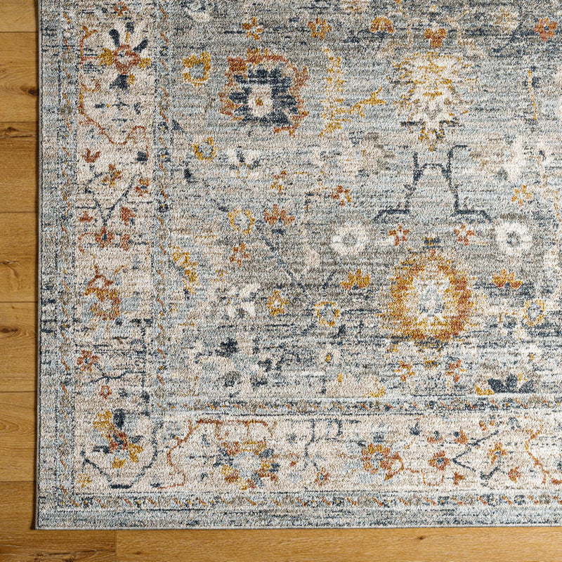 Tanina Traditional Light Gray/Pale Blue Area Rug