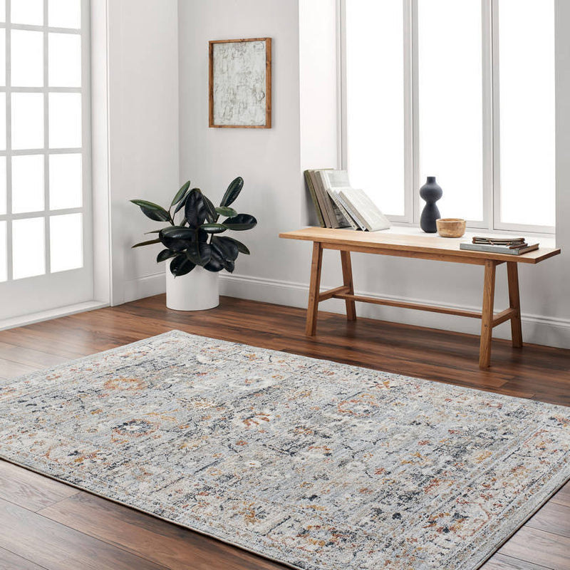 Tanina Traditional Light Gray/Pale Blue Area Rug