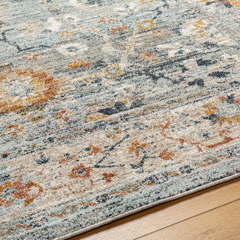 Tanina Traditional Light Gray/Pale Blue Area Rug