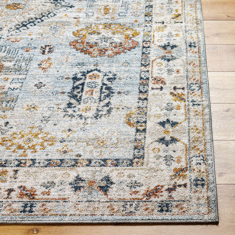 Raphel Traditional Pale Blue Area Rug