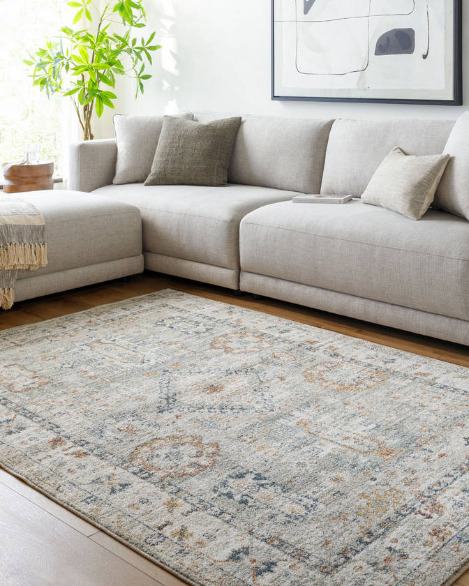 Catarina Traditional Light Brown Area Rug