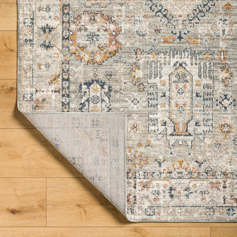 Catarina Traditional Light Brown Area Rug