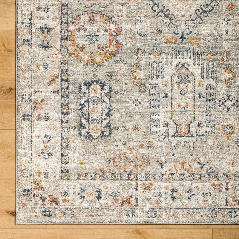 Catarina Traditional Light Brown Area Rug