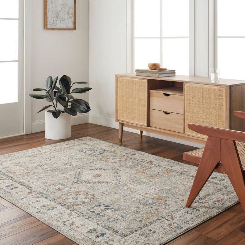 Catarina Traditional Light Brown Area Rug