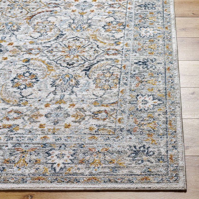 Stepfon Traditional Off-White/Amber Area Rug