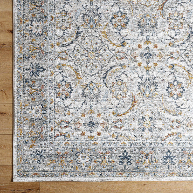 Stepfon Traditional Off-White/Amber Area Rug