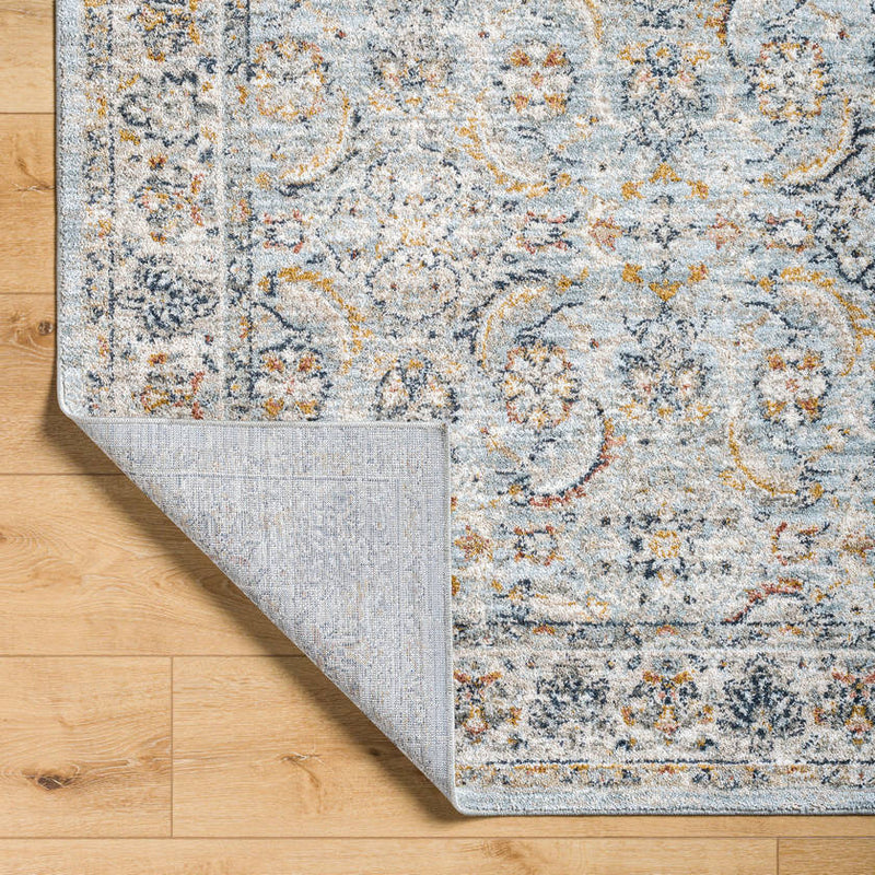 Stepfon Traditional Ice Blue Area Rug