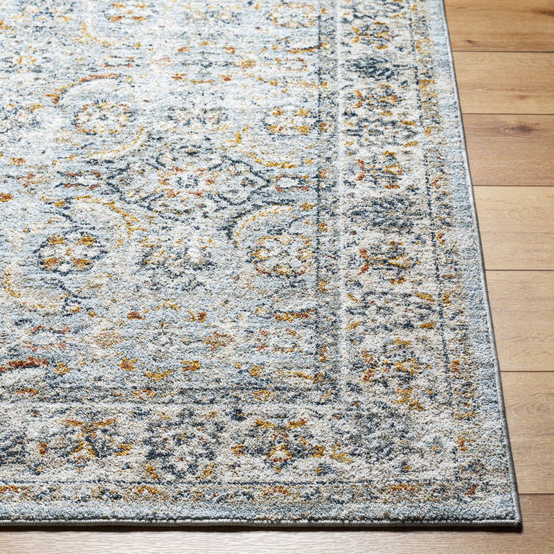 Stepfon Traditional Ice Blue Area Rug