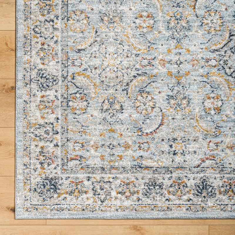 Stepfon Traditional Ice Blue Area Rug