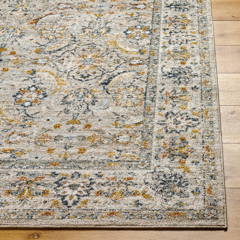 Stepfon Traditional Medium Brown Area Rug