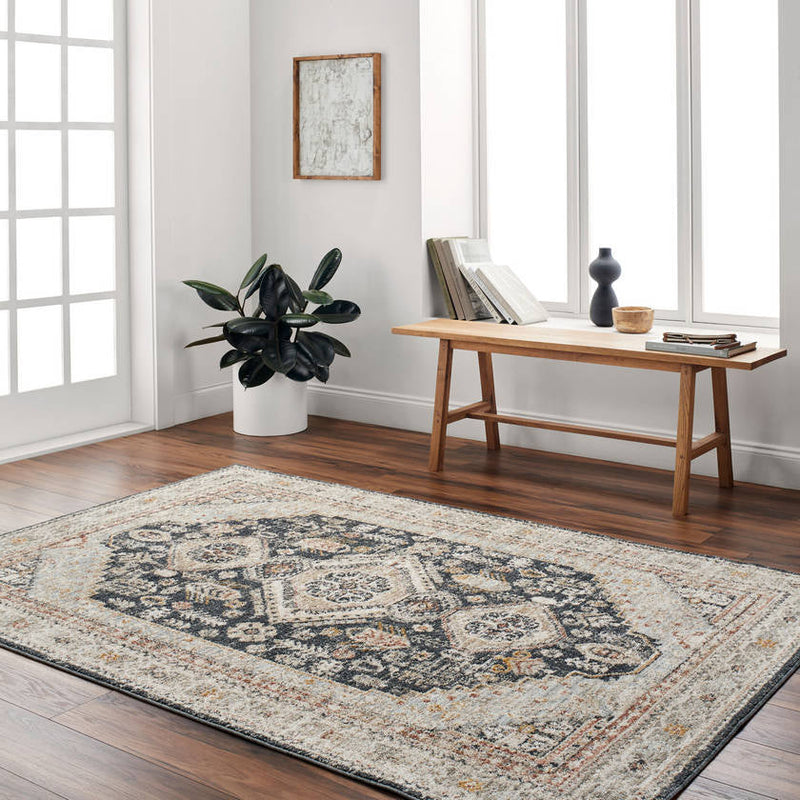 Tiwanna Traditional Charcoal Area Rug