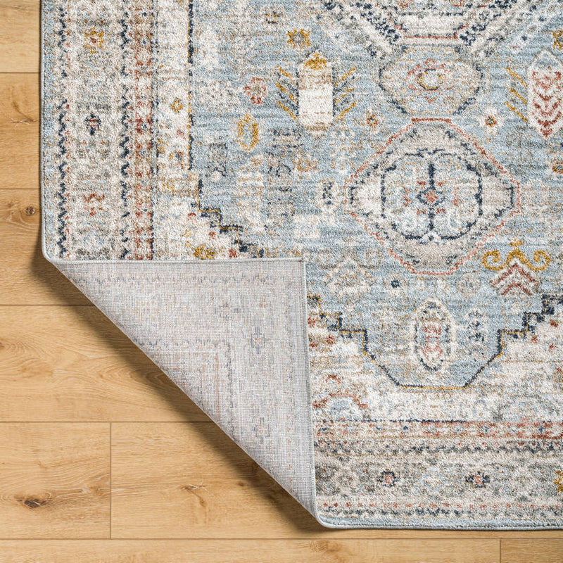 Tiwanna Traditional Pale Blue Area Rug