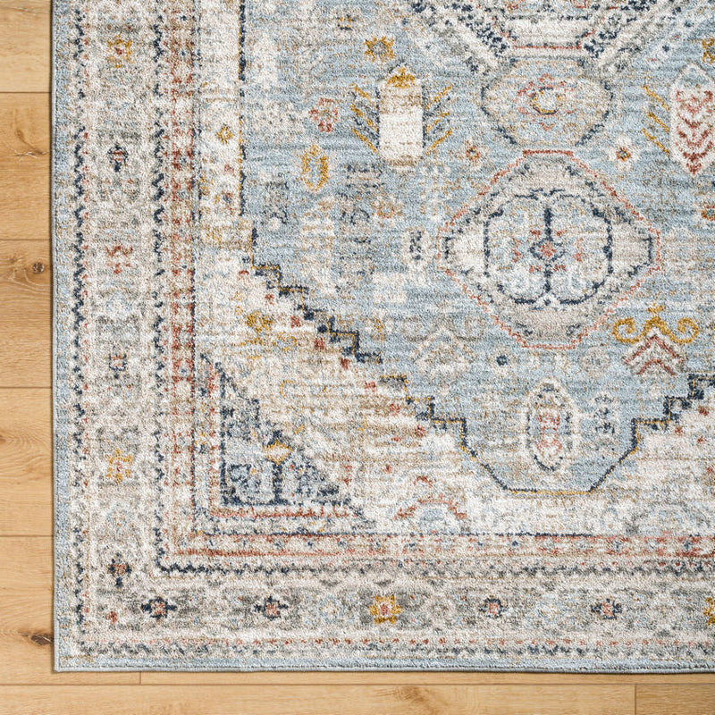 Tiwanna Traditional Pale Blue Area Rug